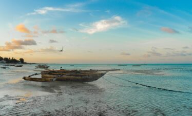 africa, zanzibar, beach, tanzania, island, exotic, water, sun, nature, sand, ocean, summer, tropical, sea, africa, africa, zanzibar, zanzibar, zanzibar, zanzibar, zanzibar, tanzania, tanzania
