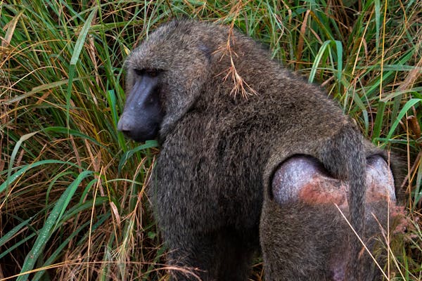 pexels photo 11575957 1