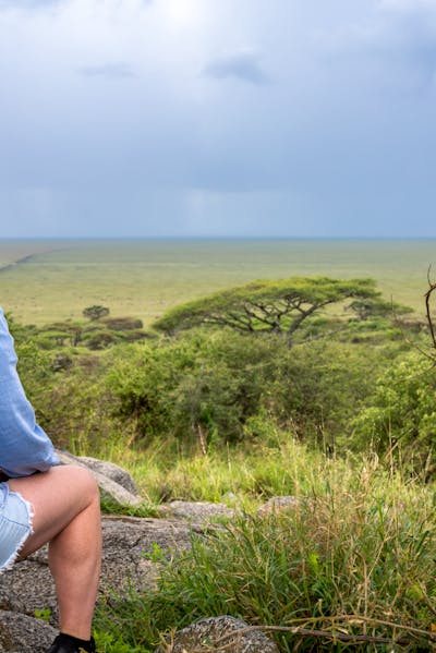 pexels photo 16083443