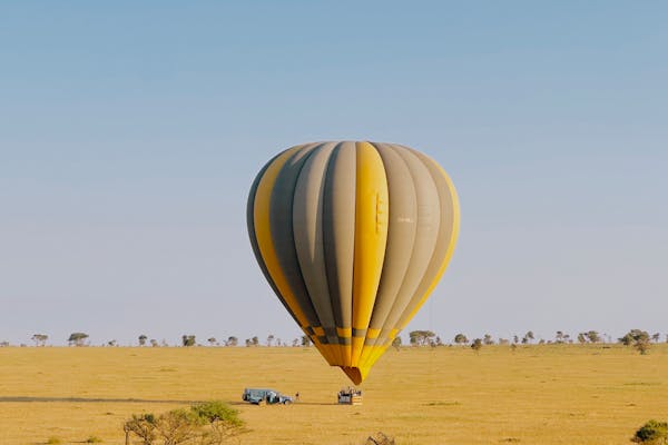 pexels photo 29865515