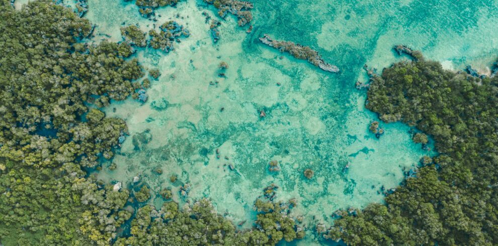 A breathtaking aerial view of Zanzibar's coast, showcasing turquoise waters and lush green mangroves.
